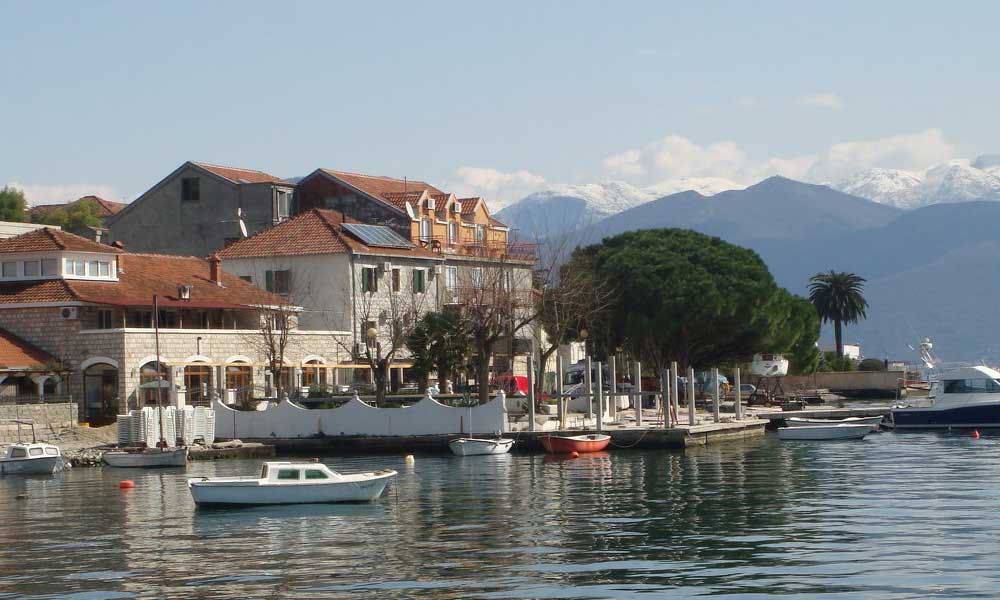 Đenovići