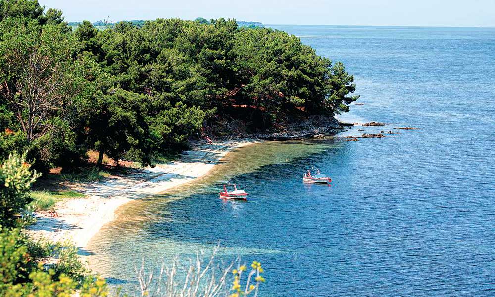 SKALA RAHONI