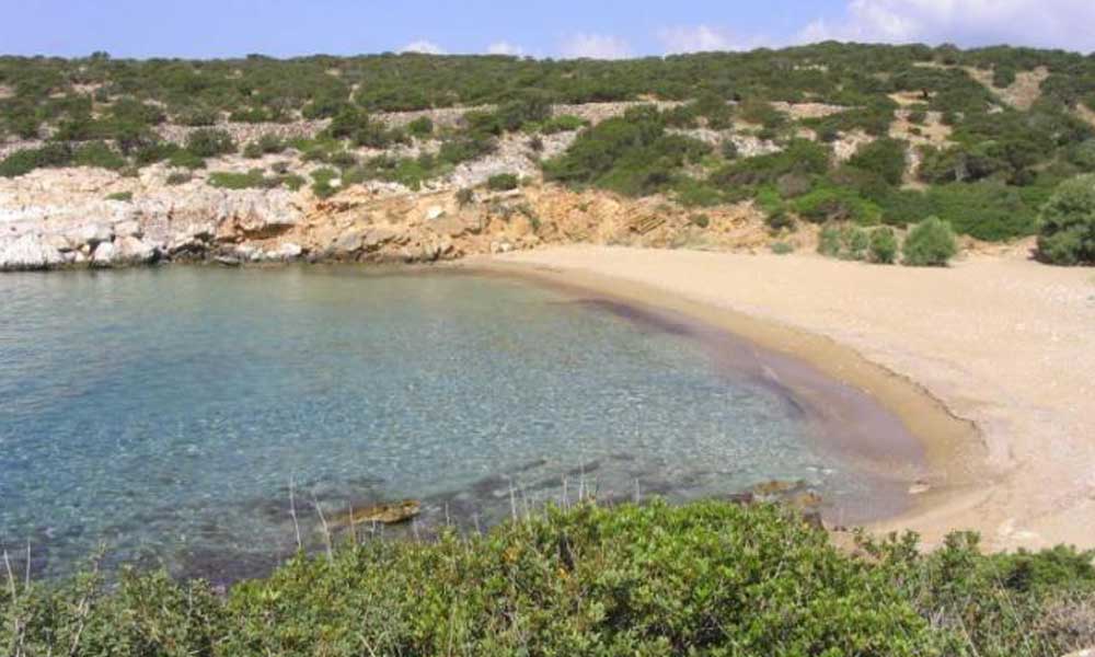 TRIPITI